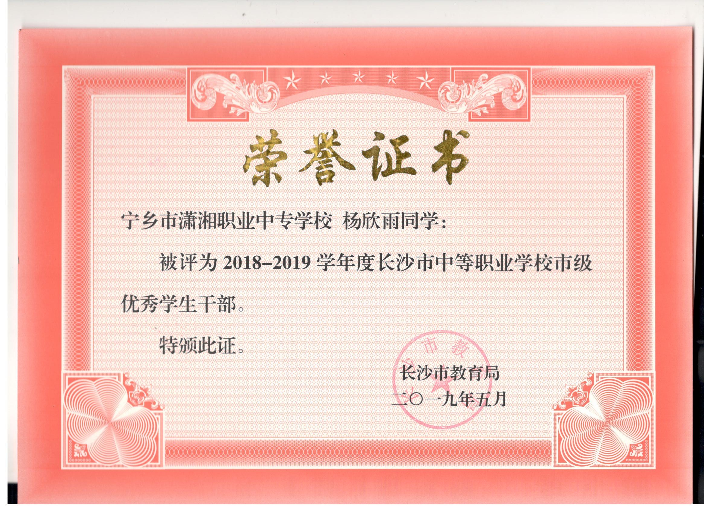 长沙市中职学校市级优秀学生干部——杨欣雨同学